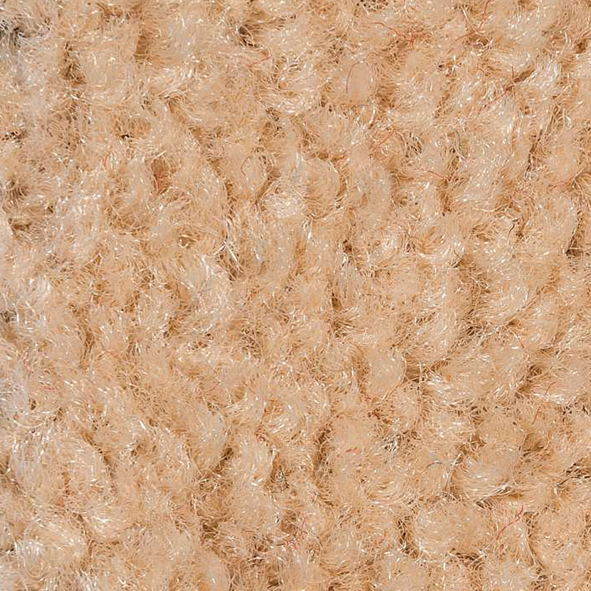 Sahara