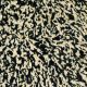 csm_Wash-Horse_black-white_3d601045a7